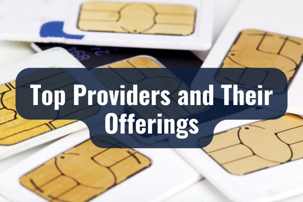 Top Providers and Their Offerings