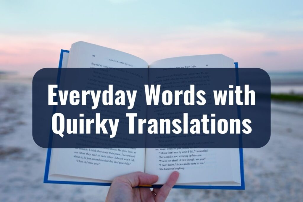 Everyday Words with Quirky Translations